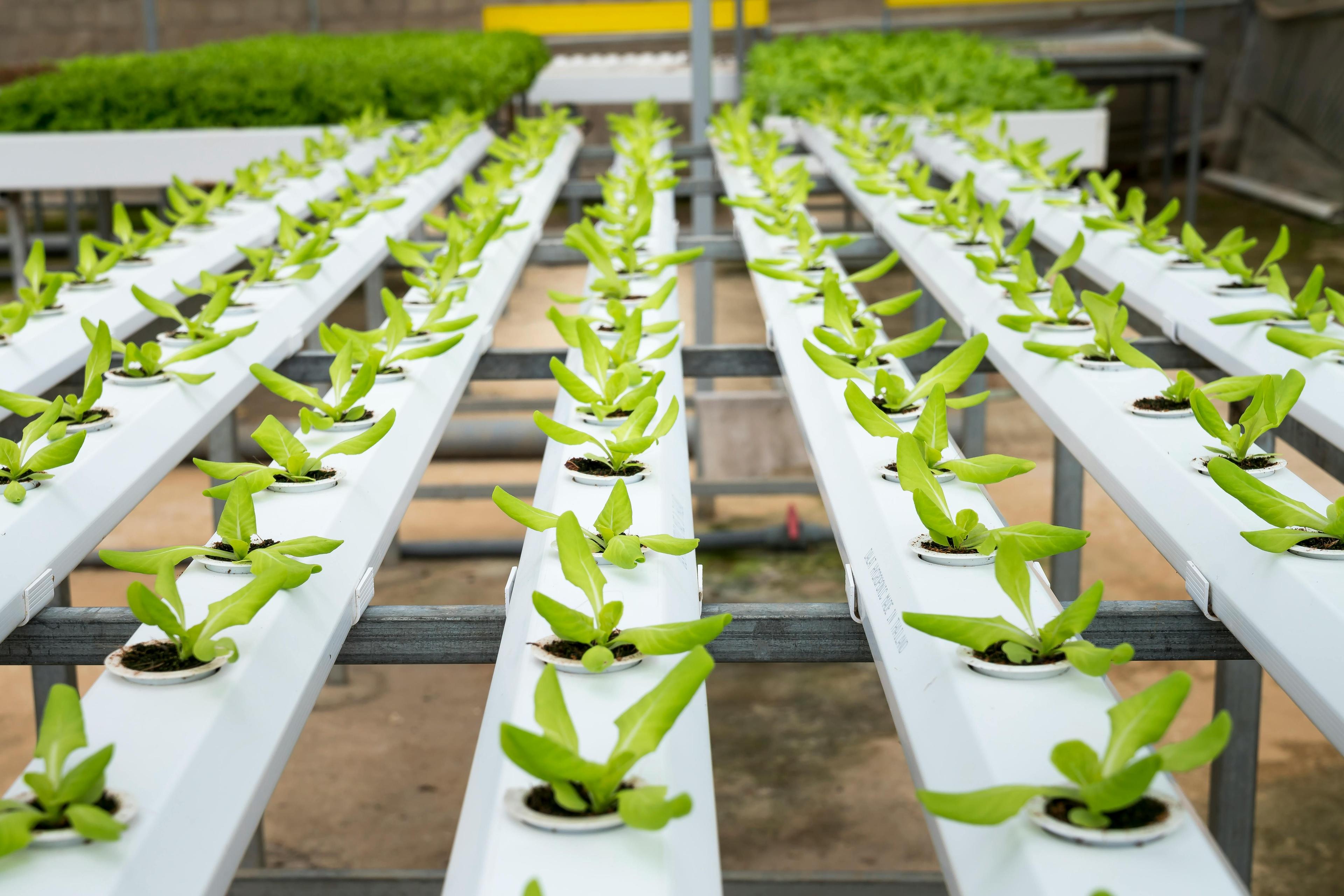 Automação de marketing no agro: como escalar sem perder personalização