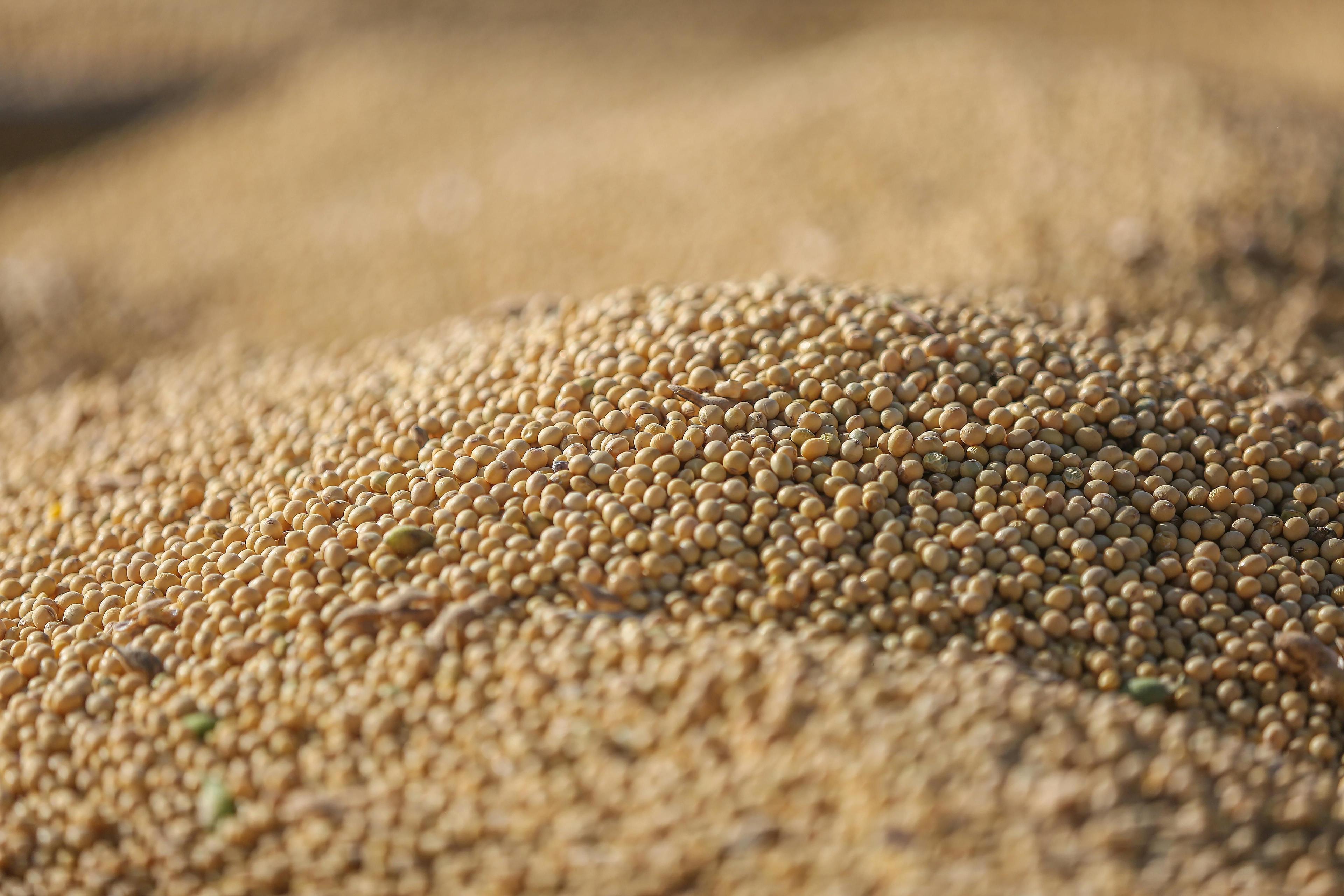 Inbound Marketing para o agro: como gerar demanda com conteúdo técnico